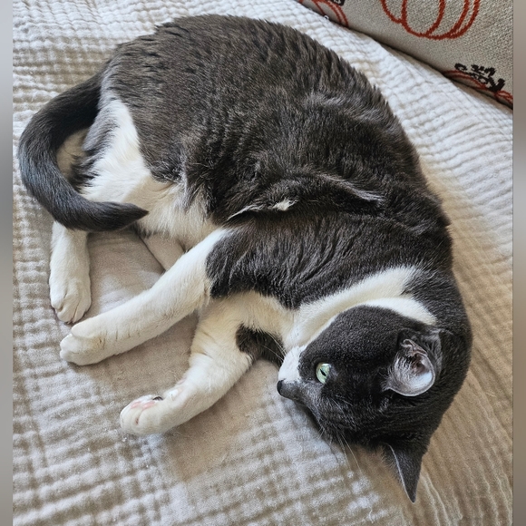 Pet Friendly Home! - Picture 1 of 3